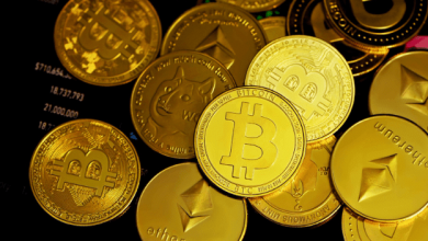 analysts-highlight-blazpay-as-the-next-big-crypto-coin-to-watch-this-moonvember-among-top-5-coins